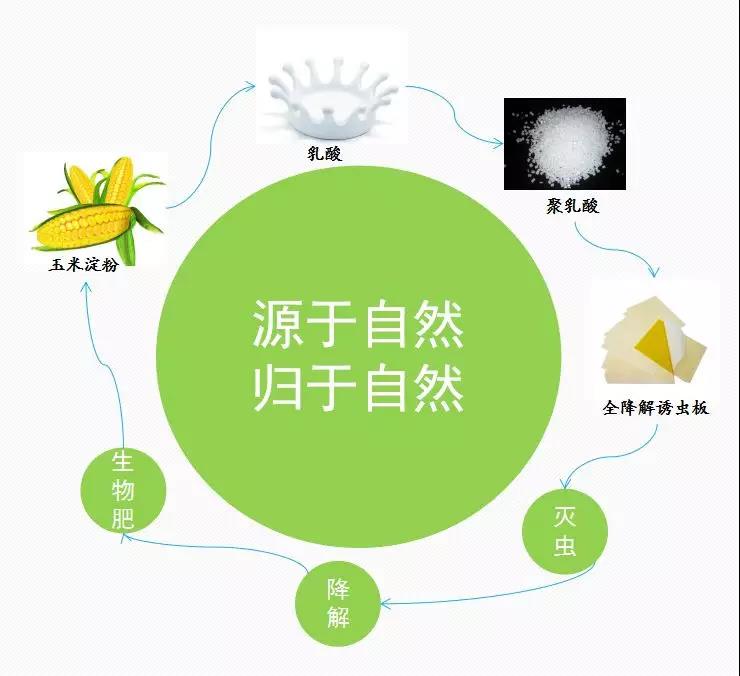 全降解粘蟲(chóng)板