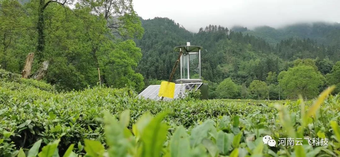 休寧縣利用云飛太陽能測報燈打造秀美皖南