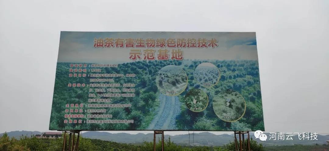 湖南耒陽(yáng)市油茶示范基地利用云飛自清蟲(chóng)殺蟲(chóng)燈綠色殺蟲(chóng)