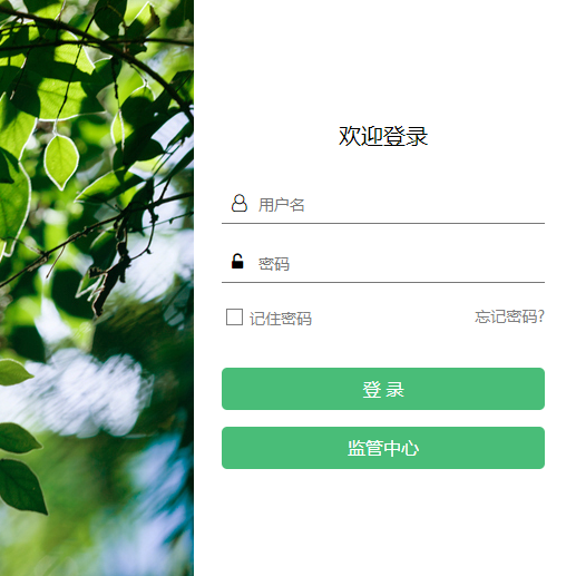 遠(yuǎn)程診斷終端